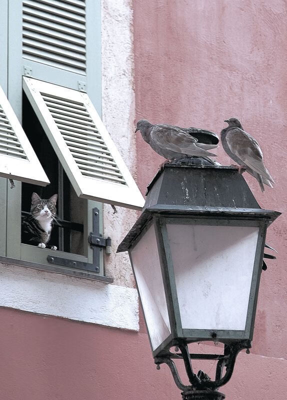 “意甲劲旅打造防守铁壁,保住胜果”,意甲的防守