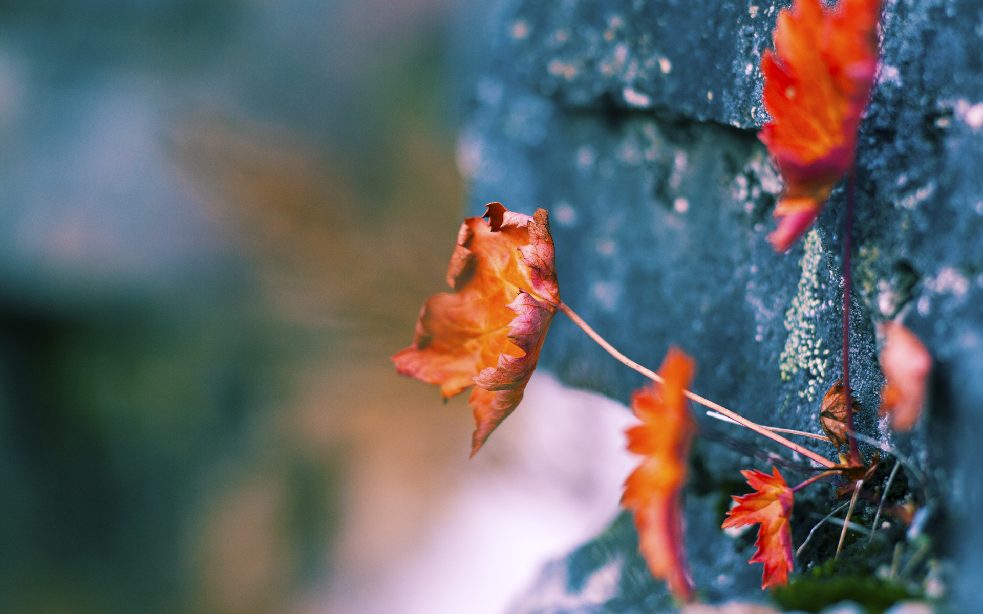 “意甲劲旅打造防守铁壁,保住胜果”,意甲的防守