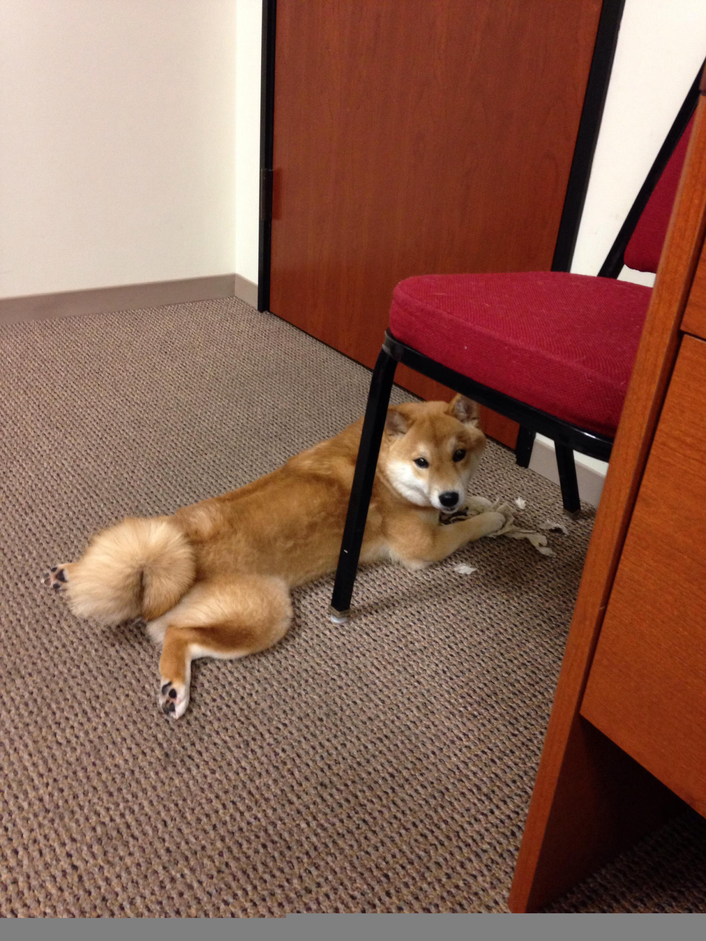 《Faker迎来职业生涯第十个赛季，展望未来新目标》，faker第一年职业