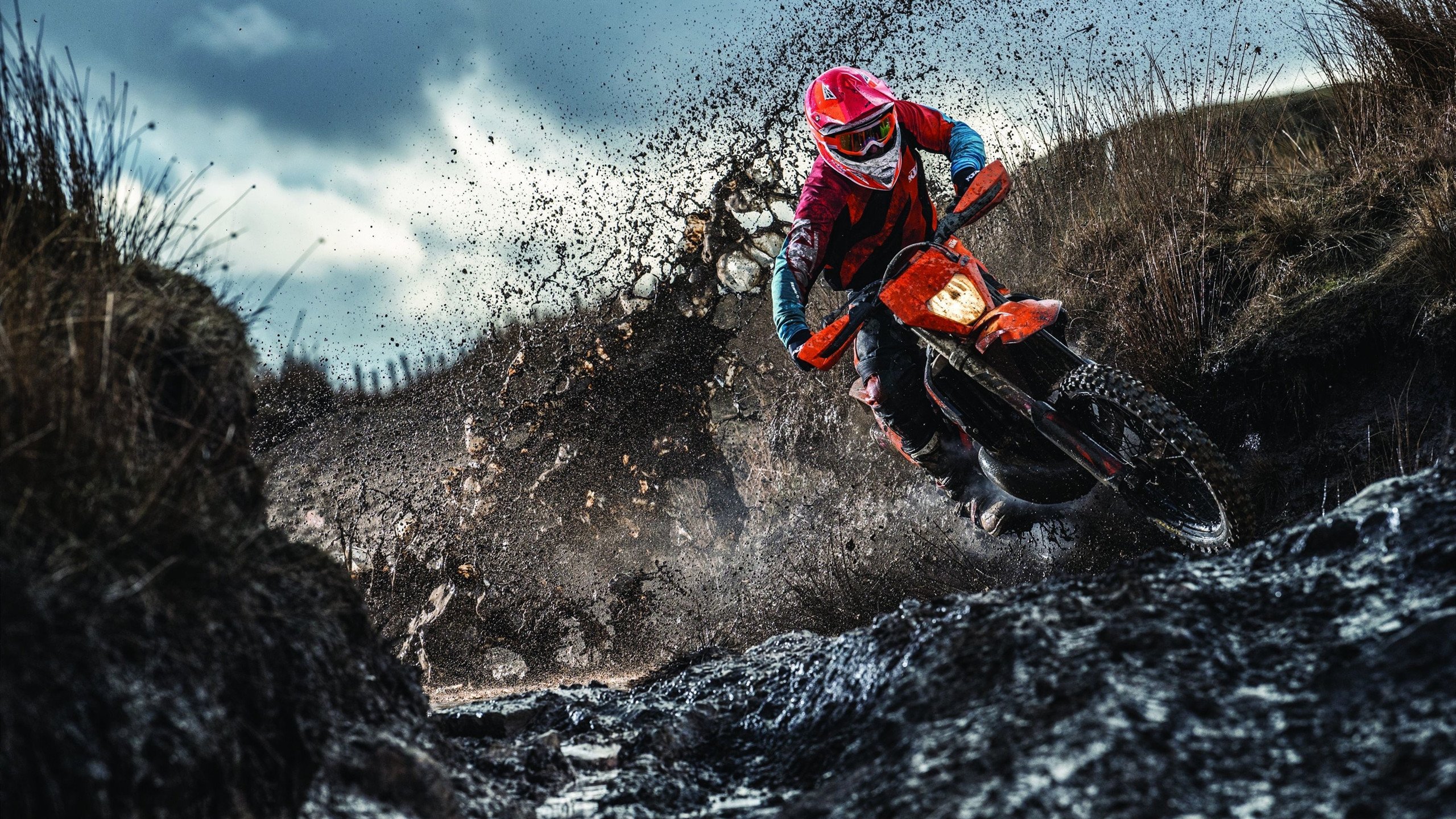 混合泳赛事波兰选手全面发挥，波兰田径混合