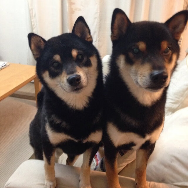 爱游戏 电竞-乡村骑行寻宝赛，绿色生态与趣味结合，乡村骑自行车图片大全